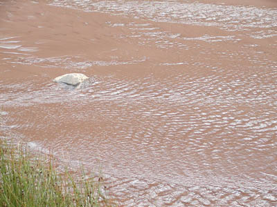Great Sand Dunes16