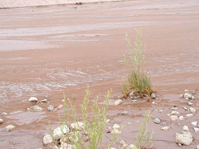 Great Sand Dunes21