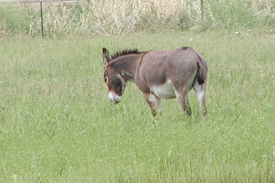 West Mus of Mining13